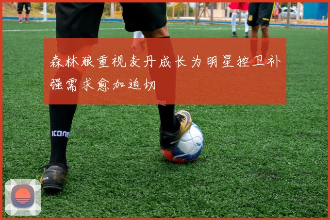 森林狼重视麦丹成长为明星控卫补强需求愈加迫切