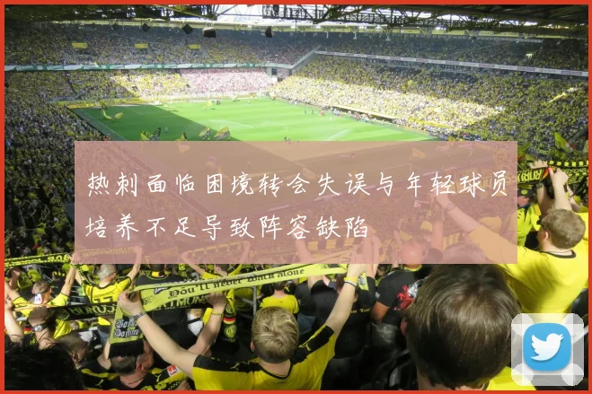 热刺面临困境转会失误与年轻球员培养不足导致阵容缺陷